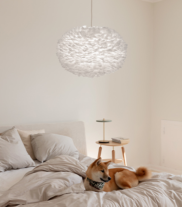Suspension duveteuse créant une atmosphère chaleureuse et relaxante dans une chambre moderne avec un chien